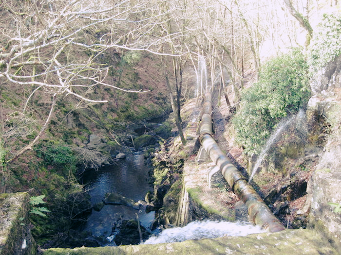 A rusty, curving pipe along a river.